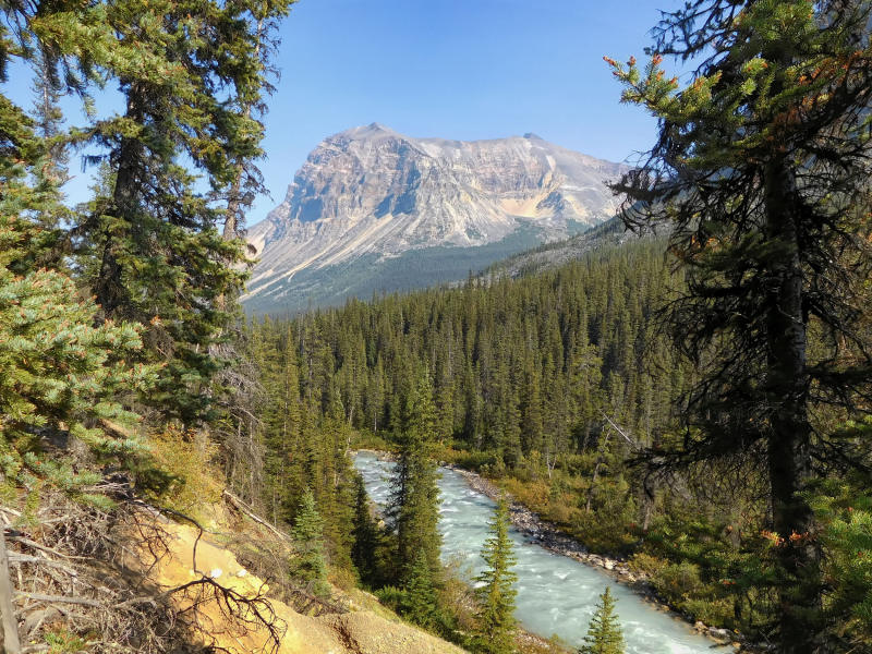 Astoria River and Mount Edith Cavell 3363 m